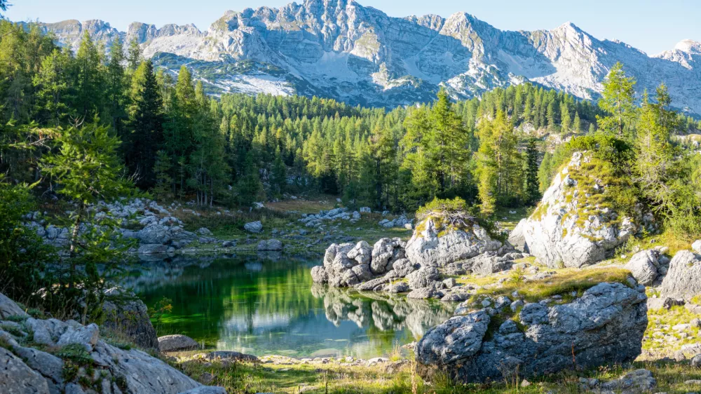 Razočarala ga je člove&scaron;ka du&scaron;a, zato je zapustil ta majhen ko&scaron;ček raja na Zemlji.