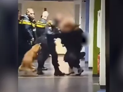 Trenutek, ko je policist za rokav prijel dekle in jo sunkovito vrgel na tla. / Foto: Zajem Zaslona