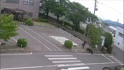 This image made from the security camera footage provided by the Fukushima Steel Works, shows a bear, right, chasing a person, second right, on its premises in Fukushima, Japan, Tuesday, June 2, 2026. (FUKUSHIMA STEEL WORKS via AP)