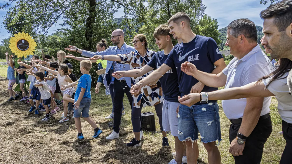 Foto: Slovenske železnice