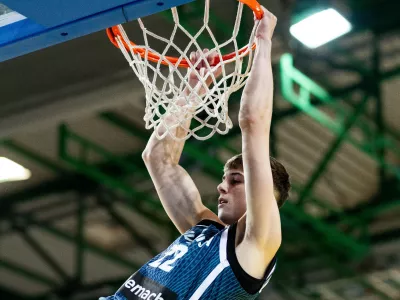 Stefan Joksimović, Slovenija, Če&scaron;ka