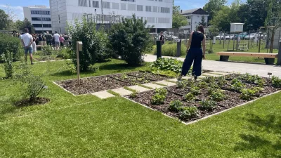 Foto: Tja&scaron;a Lampret