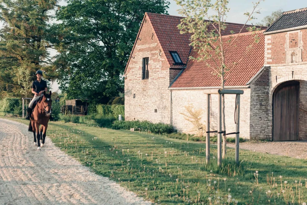 horsewoman rides the horse in the perimeter around the walls of the medieval farm / Foto: Carlo Prearo
