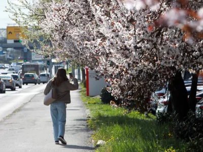 24.03.2026 -simbolična fotografija - pomlad, VičFoto: Tomaž Skal
