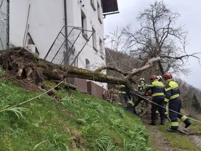 Na območju občine Cerkno poteka intervencija večjega obsega zaradi močnega vetra. Tekom dneva so gasilci posredovali na vsaj 25 intervencijah in sicer pri prekrivanju streh objektov (19 objektov), odpiranju cest ter razbremenitvi telefonskih linij zaradi podrtega drevja. Najbolj prizadeta so območja Bukovega, Zakriža, Gorje ter Cerkno. Aktiviranih je bilo več kot 80 gasilcev iz večine prostovoljnih dru&scaron;tev v občini. Ekipe gasilcev so &scaron;e vedno na terenu, kjer odpravljajo posledice vetroloma, drugi ostajajo v pripravljenosti.Trenutno ostaja zaprta cesta Zakriž-Ravne.Neugodni vremenski pojavi so napovedani tudi za naslednje ure, zato gasilci in civilna za&scaron;čita svetujejo, da najprej poskrbite za svojo varnost, spremljate obvestila, se zadržujete v zaprtih prostorih ter se izogibate bližine elektirčnih daljnovodov ter povr&scaron;in poraslih z drevjem.Ker &scaron;e vedno močno piha se na posameznih objektih ne izvajajo aktivnosti, ker je prenevarno za re&scaron;evalce. Sanacija bo potekala tekom jutri&scaron;njega dne (petek 27.3.).
