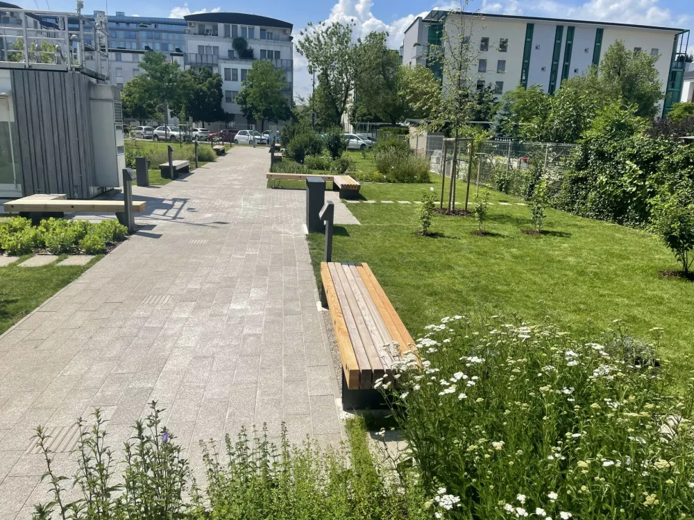 Arso, fenolo&scaron;ki park, podnebje, okolje / Foto: Tja&scaron;a Lampret
