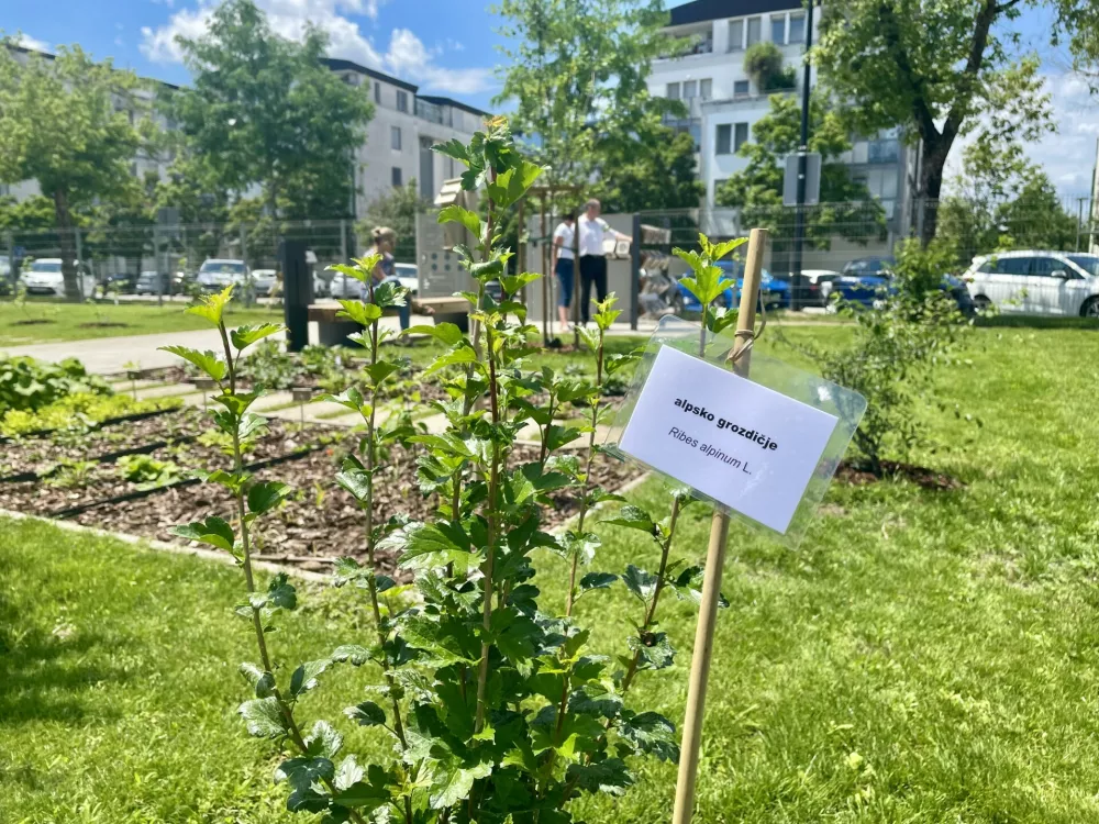 Arso, park Fenolo&scaron;ka ura, okolje, podnebje / Foto: Tja&scaron;a Lampret