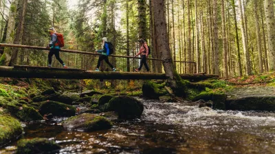 Pohorje - Kozak Trail / Foto: Matic Ritonja