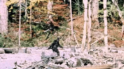 Prizor iz filma Patterson-Gimlin, za katerega sta avtorja vztrajala, da je resničen, vendar pa niso vsi prepričani, da je res tako.