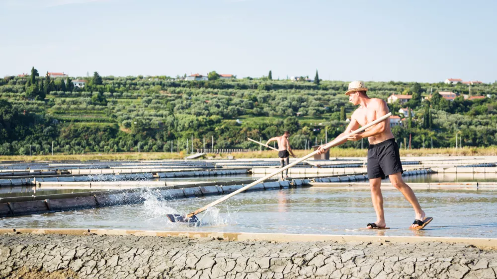 Nekateri morajo svoje delo opraviti ne glede na vreme ali temperature. Slika je sicer simbolična in prikazuje delo v solinah na na&scaron;em morju. / Foto: Istock