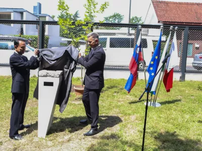 17.06.2026. Kamen miru. Botanični vrt. Foto: Bojan Velikonja