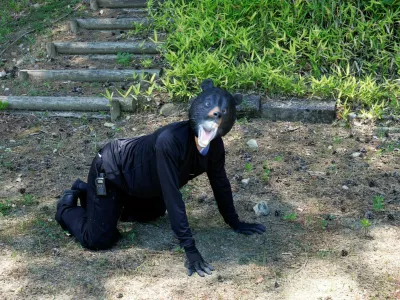 A man wearing a bear costume takes part in an emergency response drill simulating a bear intrusion in Yaita, Tochigi Prefecture, Japan, June 17, 2026. REUTERS/Kim Kyung-Hoon