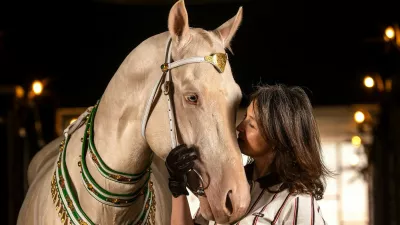 ANKARA, TURKIYE - APRIL 9: A view of an Akhal Teke horse, one of Central Asia's ancient breeds known for their speed, endurance, intelligence, and distinctive metallic sheen, are being bred at a farm in Ankara to preserve their lineage in Ankara, Turkiye, on April 9, 2026. Considered part of Turkmenistan's living cultural heritage, they are trained in disciplines such as show jumping, endurance riding, mounted archery, and cross-country riding. Once favored by rulers and commanders throughout history, Ahal Tekes are admired for their long, slender necks, athletic build, elegant posture, and striking metallic appearance. Purebred horses are sold for prices ranging from ,000 to 0,000 depending on their pedigree and training level. Omer Taha Cetin / Anadolu/ABACAPRESS.COM,Image: 1110998622, License: Rights-managed, Restrictions:, Model Release: no 