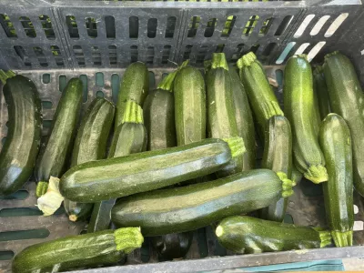 Bučke iz ljubljanske tržnice