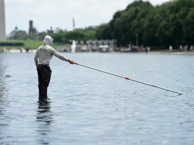 A worker vacuums algae from the Lincoln Memorial Reflecting Pool, after recent renovations following a directive from U.S. President Donald Trump to paint it blue ahead of the 250th anniversary of U.S. Independence, in Washington, D.C., U.S., June 21, 2026. REUTERS/Aaron Schwartz
