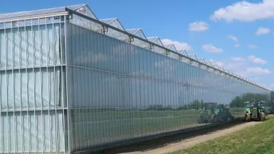 Panvita je leta 2025 v Ižakovcih (tudi s pomočjo evropskega denarja) postavila steklenjak za pridelavo solate. Na leto je pridelajo 4 milijone glav. Foto: Tatjana Pihlar 