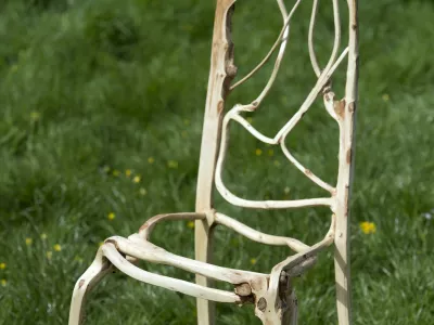 TO GO WITH FEATURE BY ROBIN MILLARDA prototype chair, grown and shaped by artist and furniture maker Gavin Munro, is pictured at his 'Full Grown' plantation site near Wirksworth, central England, on April 28, 2015. Deep in the English countryside, there's a bizarre sight: rows of trees being grown into upside-down chairs, slowly taking shape over years of careful nurturing. Around 150 armchairs, 100 lampshades and other items including mirror frames are being grown out of the ground in a highly unusual adventure in furniture design. The brainchild of Gavin Munro, his Full Grown company has produced some early prototypes, with each item one solid, joinless piece of wood.,Image: 246275636, License: Rights-managed, Restrictions: TO GO WITH FEATURE BY ROBIN MILLARD, Model Release: no 