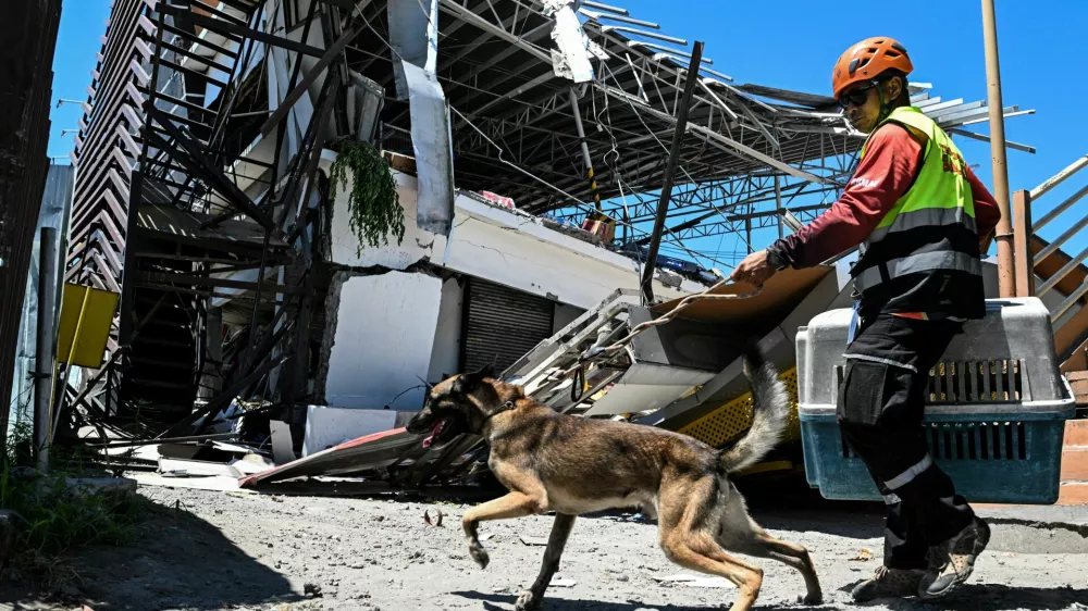 A rescue worker uses search-and-rescue dog to look for trapped people at a collapsed grocery store a day after the magnitude 7.8 quake in Calumpang, General Santos, southern Philippines, June 9, 2026. REUTERS/Noel Celis
