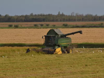 Danes je pridelava mehanizirana, vendar pa težave povzročajo podnebne spremembe. / Foto: Istock