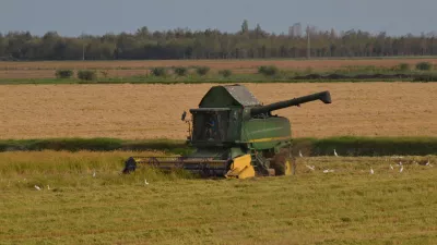 Danes je pridelava mehanizirana, vendar pa težave povzročajo podnebne spremembe. / Foto: Istock