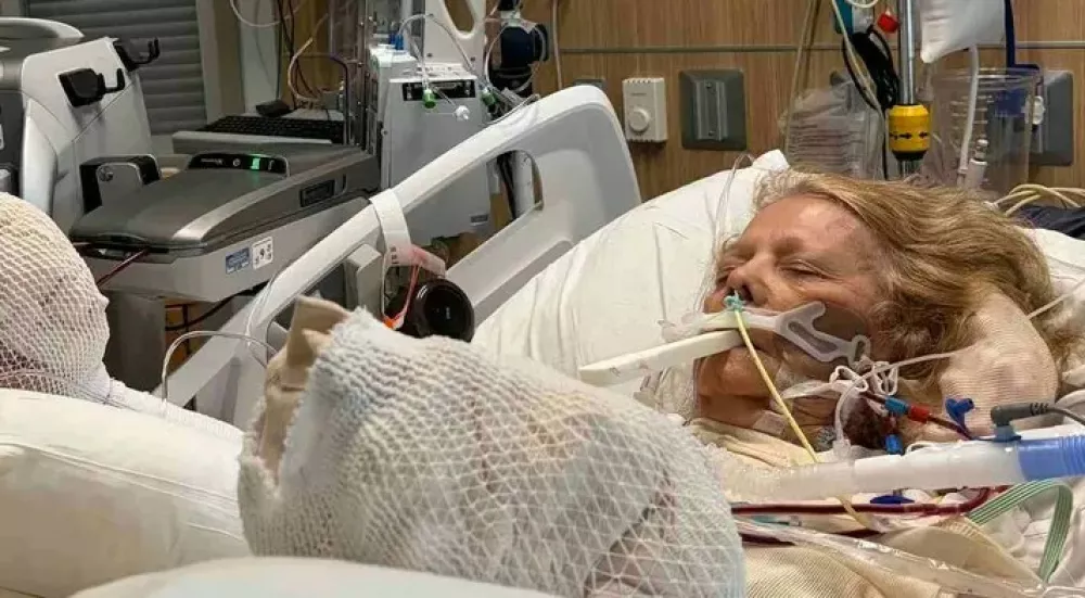 Arizona Gofundme