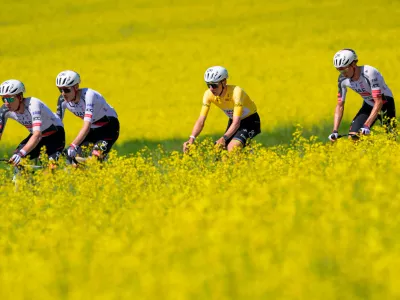Overall leader with the yellow jersey Tadej Pogacar, second from right, from Slovenia, rides behind a rapeseed field during the second stage, a 173,1 km race between Rue and Vucherens, of the 79th Tour de Romandie UCI World Tour Cycling race, in Vuillens, Switzerland, Thursday, April 30, 2026. (Jean-Christophe Bott/Keystone via AP)