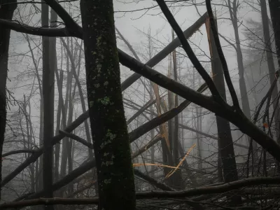 - polomljena drevesa - gozdovi -- 11. februar 2014 &ndash; odpravljanje posledic po ledeni ujmi &ndash; žledolom - odstranjevanje podrtih dreves in vejevja iz vodotokov, - poplave - poplavje &ndash; plavje -  //FOTO: Luka CjuhaOPOMBA: ZA OBJAVO V PRILOGI &ndash; DNEVNIKOV OBJEKTIV - REPORTAŽA 2014.