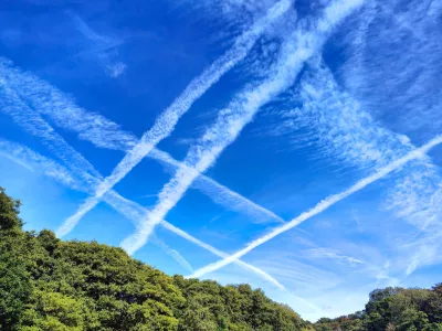 Multiple jet contrails trails against a blue sky above the trees. Airplane condensation or vapour trails / Foto: Pawel Bednarski
