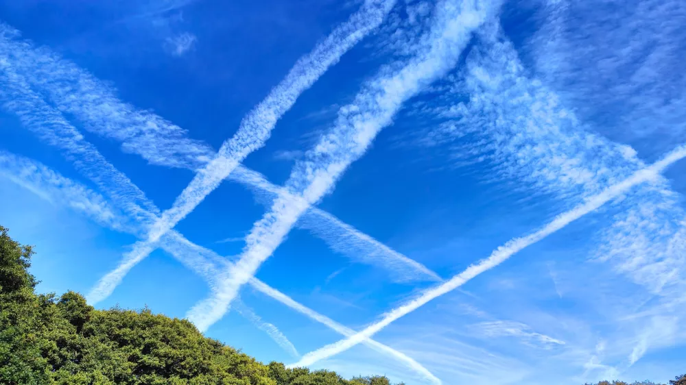 Multiple jet contrails trails against a blue sky above the trees. Airplane condensation or vapour trails / Foto: Pawel Bednarski