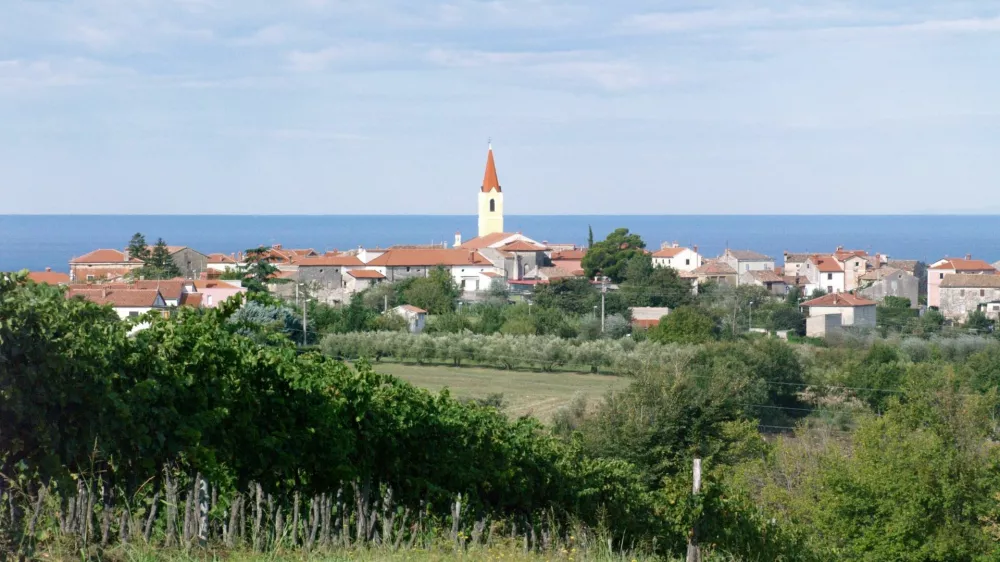 Brtonigla, Istra, Hrva&scaron;ka
