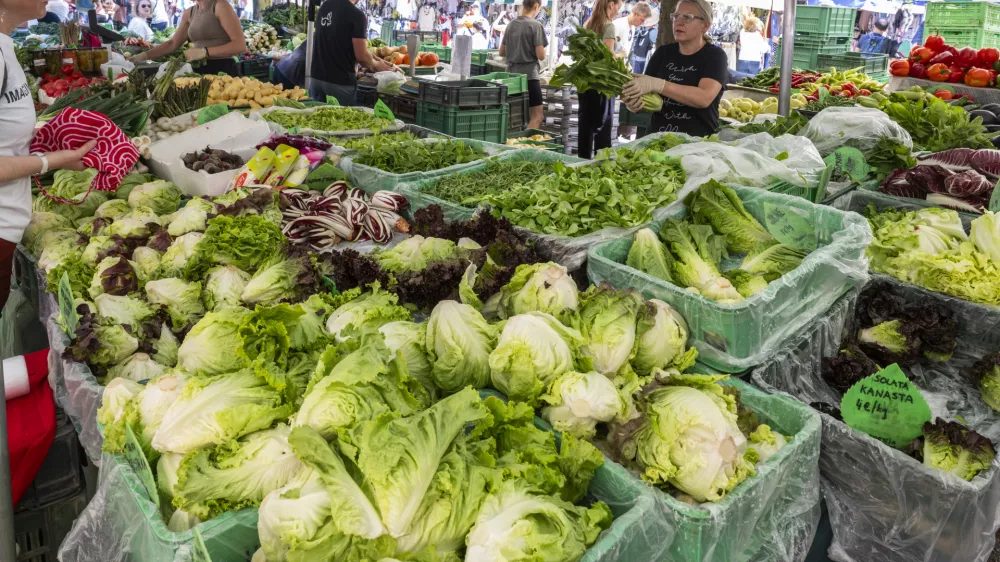 23.05.2026 zelena solata - centralna ljubljanska tržnica - zdrava prehrana - zelenjava - branjevke - kmetovanje -pridelava zelenjaveFOTO: Nik Erik Neubauer