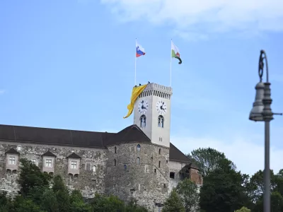 06.07.2026 referendum v LJ: spust rumene parkiri&scaron;čne zastave - CILJ - Pokažimo županu rumeni kartonfoto: Nik Erik Neubauer