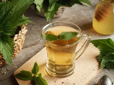 A cup of herbal tea with fresh stinging nettle leaves on a table