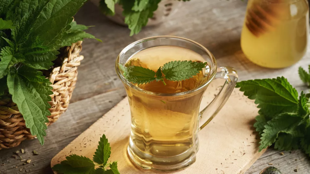 A cup of herbal tea with fresh stinging nettle leaves on a table