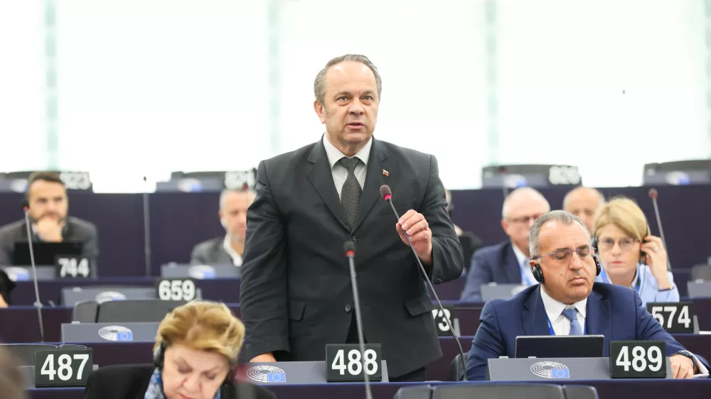 Branko Grims, evropski poslanec