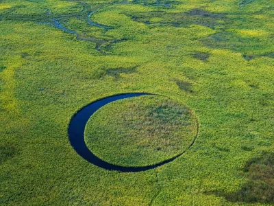el ojo, argentina