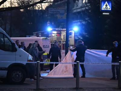 Policija - simbolična fotografijauboj - umorpreiskovalci - kriminalisti - preiskava 06.03.2026 Brnik - Streljanje policistov na storilca z nožem - Fužine - napad na policiste Foto: Nik Erik Neubauer