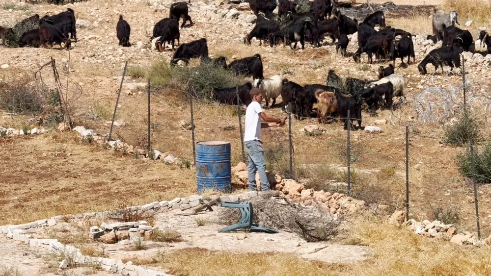 An Israeli settler cuts wire fencing surrounding livestock during an Israeli settlers' attack on a Palestinian home in the village of Al-Mughayyir, near Ramallah, in the Israeli-occupied West Bank, July 11, 2026, in this screengrab obtained from a video. VIDEOS OBTAINED BY REUTERS/via REUTERS THIS IMAGE HAS BEEN SUPPLIED BY A THIRD PARTY. VERIFICATION: Reuters verified the location by the buildings and the shape of the hills seen in the background of the footage, which matched the topography mapping of the area. The location and the date were also verified by original files metadata and Reuters own cover.