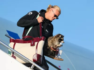 Norway's striker Erling Braut Haaland carries a taxidermy raccoon as he gets off the plane after Norway's national football team landed at Oslo's Gardermoen Airport on July 13, 2026. Norway were knocked out in the quarter-final match against England.,Image: 1116355597, License: Rights-managed, Restrictions: Norway OUT, Model Release: no 