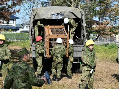 In this photo provided by the Japan Self-Defense Forces Akita Camp, Self-Defense forces personnel unload a bear cage from a military truck in JSDF Akita Camp, Akita, northern Japan, Thursday, Oct. 30, 2025. (JSDF Akita Camp via AP)