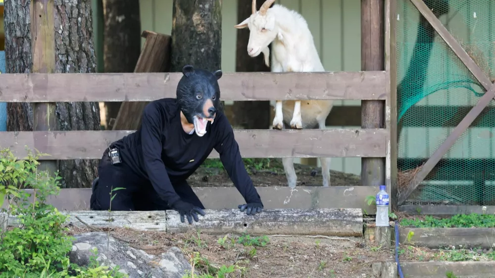 A man in a bear costume takes part in an emergency response drill simulating a bear intrusion in Yaita, Tochigi Prefecture, Japan, June 17, 2026. REUTERS/Kim Kyung-Hoon   TPX IMAGES OF THE DAY