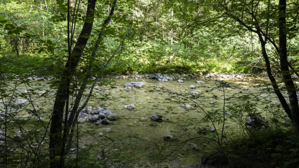 vročinavročinski valreke jezera I&scaron;ki VintgarReka I&scaron;ka18.06.2026 Kopalci se hladijo v rekah in jezerih v okolici Ljubljane foto: Nik Erik Neubauer