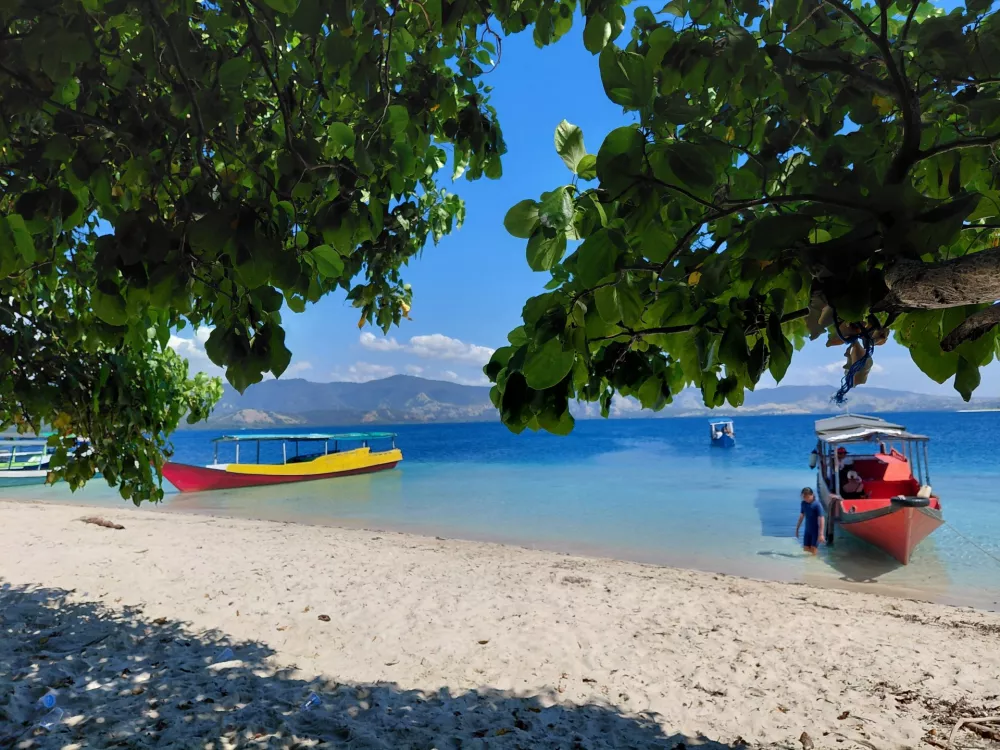 Vse prej kot običajen eksotični otok čuvajo največji ku&scaron;čarji na svetu