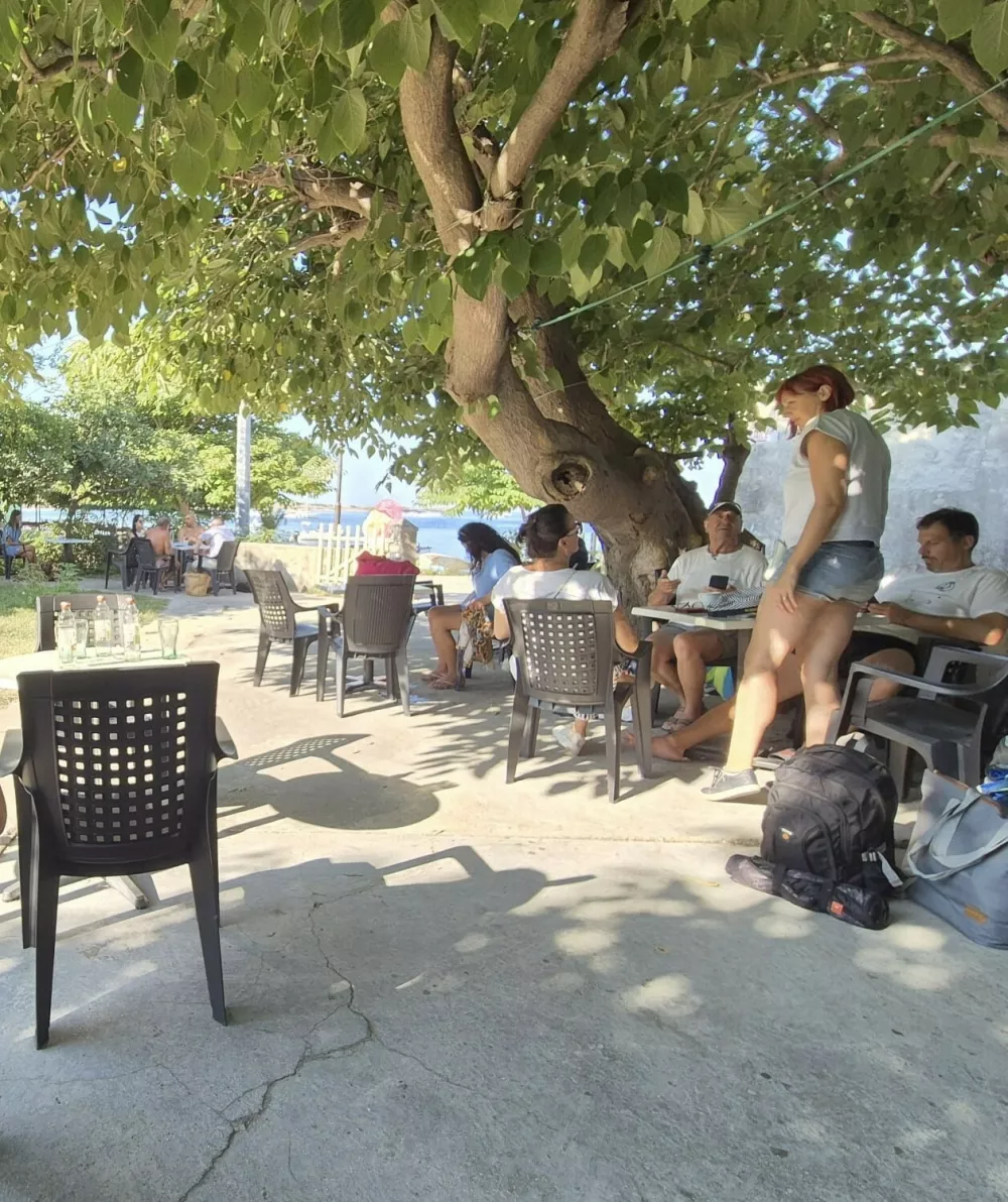 Unije sla&scaron;čičarna, drevo
