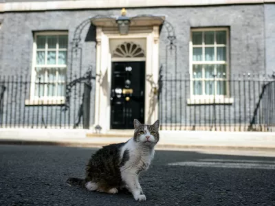 Larry the cat sits outside No. 10 Downing Street after British Prime Minister Keir Starmer delivered a statement before resigning and transferring power to new Labour Party leader Andy Burnham, in London, Britain, July 20, 2026. REUTERS/Isabel Infantes