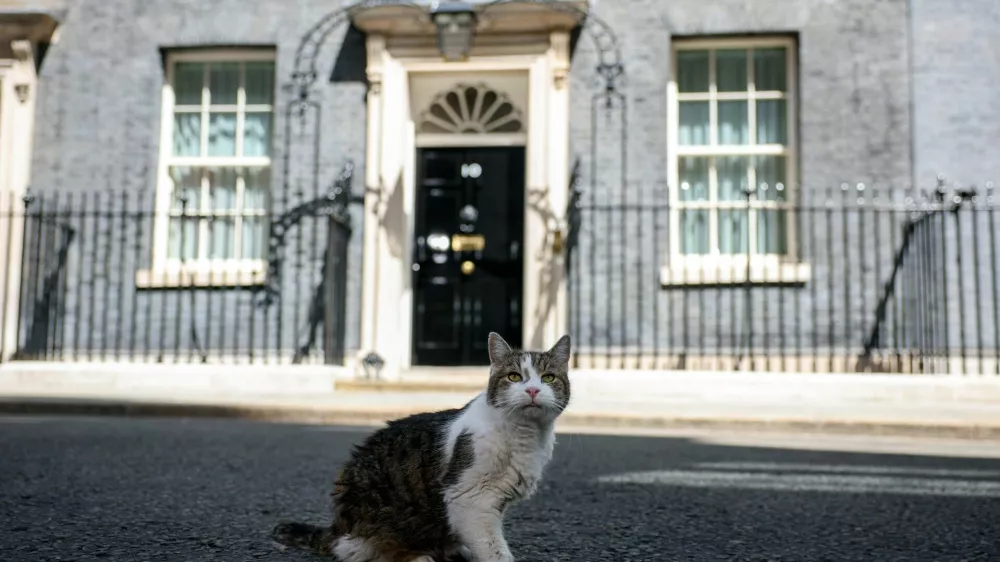Larry the cat sits outside No. 10 Downing Street after British Prime Minister Keir Starmer delivered a statement before resigning and transferring power to new Labour Party leader Andy Burnham, in London, Britain, July 20, 2026. REUTERS/Isabel Infantes