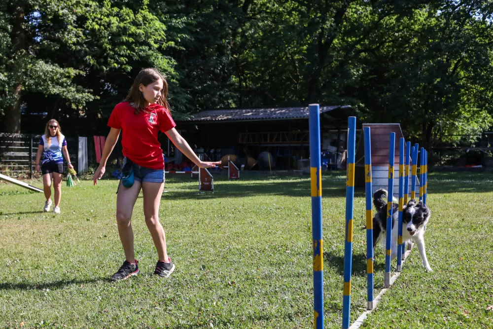 - 20.07.2026. - Nu&scaron;a in kuža Flash, dobitnika bronaste medalje na Mladinskem svetovnem prvenstvu v Meinheimu v agilityju.Agility. Kinolo&scaron;ko dru&scaron;tvo Ljubljana.//FOTO: Bojan Velikonja