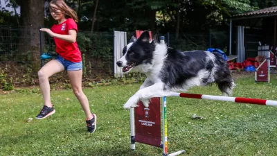- 20.07.2026. - Nu&scaron;a in kuža Flash, dobitnika bronaste medalje na Mladinskem svetovnem prvenstvu v Meinheimu v agilityju.Agility. Kinolo&scaron;ko dru&scaron;tvo Ljubljana.//FOTO: Bojan Velikonja