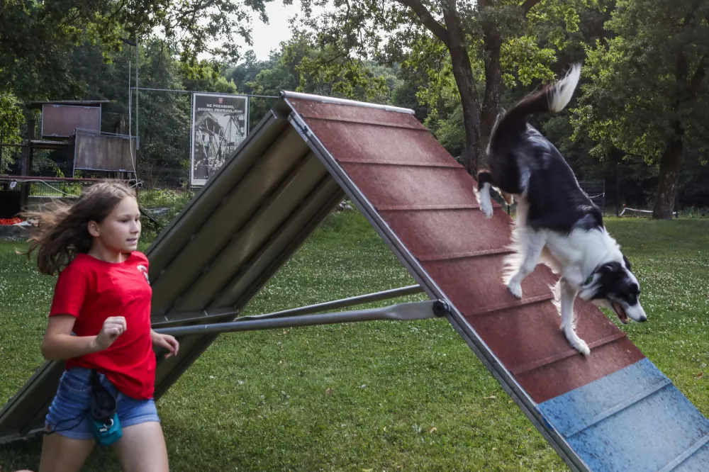 - 20.07.2026. - Nu&scaron;a in kuža Flash, dobitnika bronaste medalje na Mladinskem svetovnem prvenstvu v Meinheimu v agilityju.Agility. Kinolo&scaron;ko dru&scaron;tvo Ljubljana.//FOTO: Bojan Velikonja