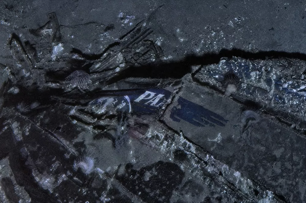 This undated composite image provided by Air/Sea Heritage Foundation and Deep Sea Vision on Tuesday, July 21, 2026, shows a Pan American World Airways logo on the nose section of the Clipper Endeavor wreck. (Air/Sea Heritage Foundation and Deep Sea Vision via AP)